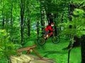 Mountain Bike per giocare online