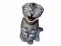 Ridere Gatto per giocare online