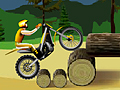 Stunt Dirt Bike per giocare online