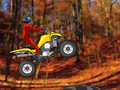 Quad Extreme Racer per giocare online