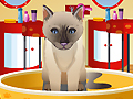 Petz Fashion per giocare online