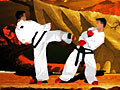 Taekwon-Do per giocare online