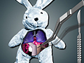 Save The Bunny per giocare online