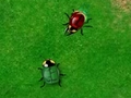 Beetle guerre per giocare online