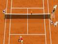 Grandslam Tennis per giocare online