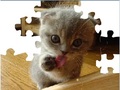 Cat Puzzle Carino per giocare online