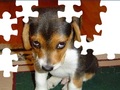 Dog Puzzle Carino per giocare online