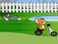 Tom e Jerry Backyard giro per giocare online