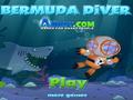 Bermuda Diver per giocare online