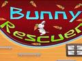 Bunny soccorritore per giocare online