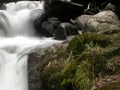 Foresta cascata per giocare online