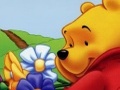 Winnie the Pooh oggetti nascosti per giocare online