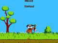 Duck Hunting per giocare online