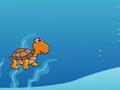 Turtle per giocare online