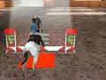 3D Equestrian per giocare online