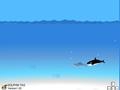 Dolphin Hunt per giocare online