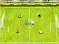 Animali domestici di calcio per giocare online