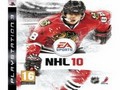 NHL 10 Jigsaw per giocare online