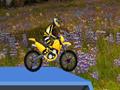 Hillblazer FMX per giocare online