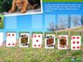 Animal Planet Solitaire per giocare online