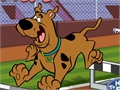 Scooby Doo - Steeplechase per giocare online