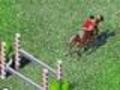 Horse Jumping per giocare online